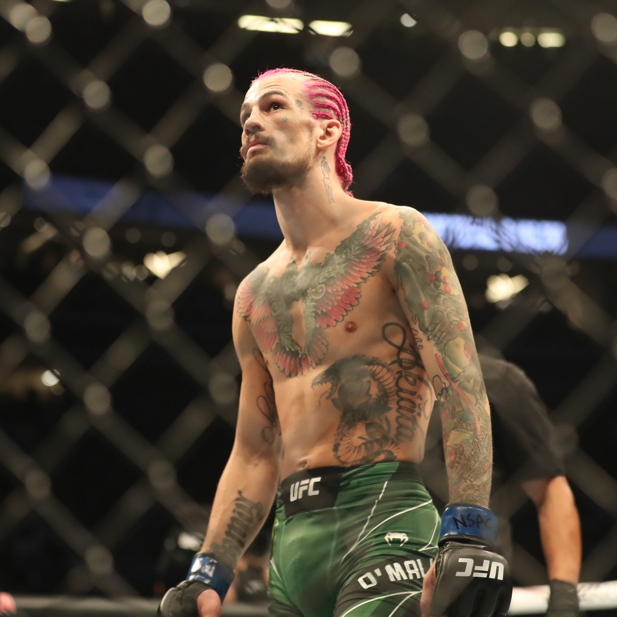 Share more than 76 sean o’malley wallpaper - in.cdgdbentre