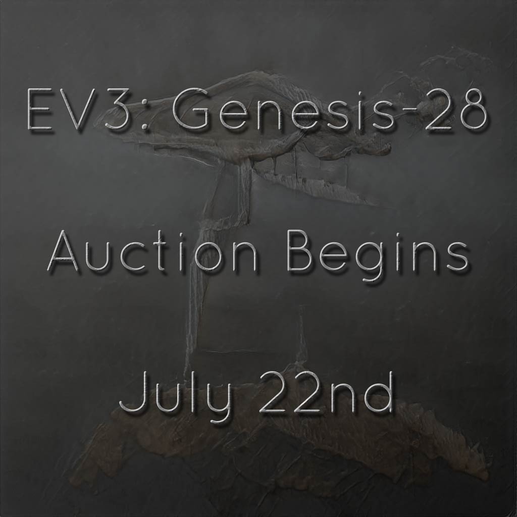 ❖ A new auction approaches ❖