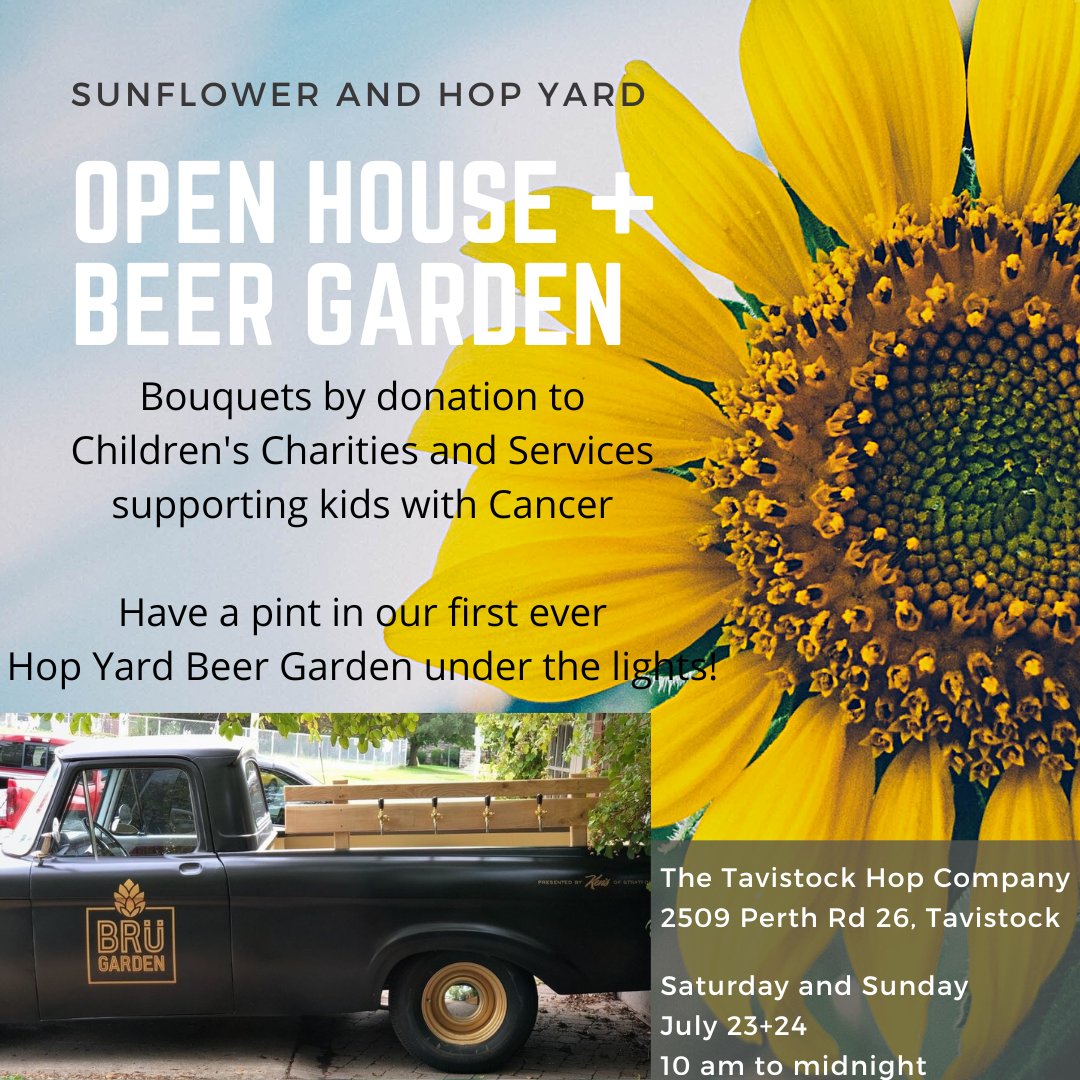 Julie Wynette tweet media