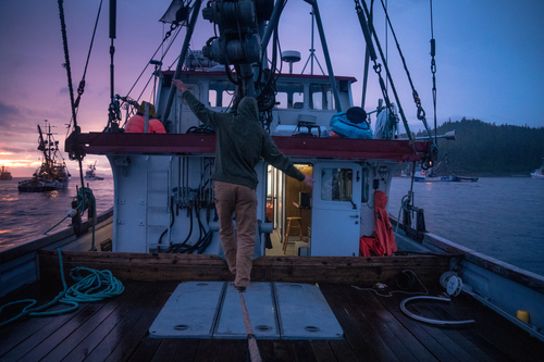 Work, live or play on a boat? We want to see your photos! Submit any and all scenic, boat or Alaska seafood pics this summer to our annual Commercial Fishing Photo Contest. Submissions open through September 30th. bit.ly/3xfBQr4