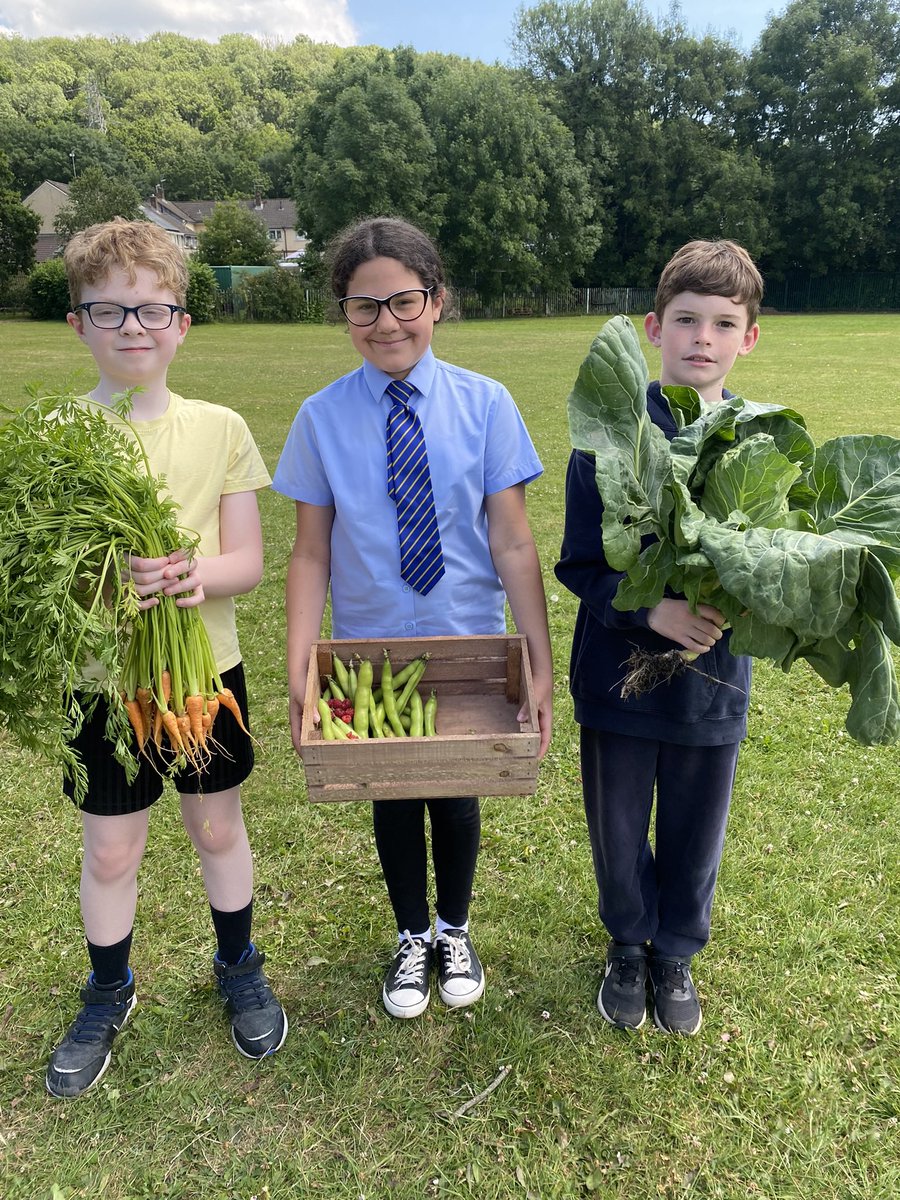 We are very proud of the fruit and vegetables harvested from our school garden. We also enjoyed sharing our gardening experience and knowledge with younger members of our school community 🪴. <a href="/MiltonPrimary17/">Milton Primary</a> <a href="/MissBInstone/">Miss Instone</a> @NewportKWT
