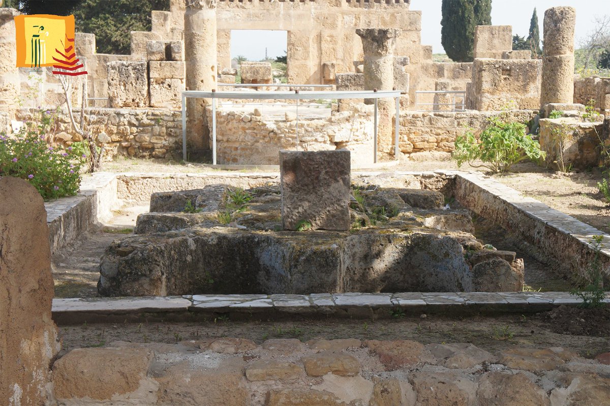AMVPPC's tweet photo. 🔸Maison de la cascade (Utique – Bizerte)
Cette riche habitation date, dans son état actuel, du 4e ou du 5e s.ap.J.-C. ; elle tire son nom d’une belle mosaïque marine couvrant l'une de ses fontaines.
#amvppc #patrimoine #utique https://t.co/gSaZnVx30s