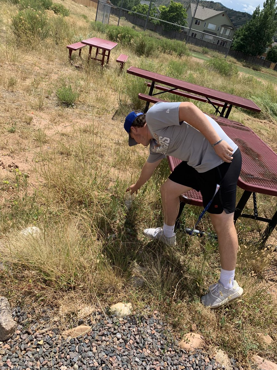 TRHS RUSTY tweet media