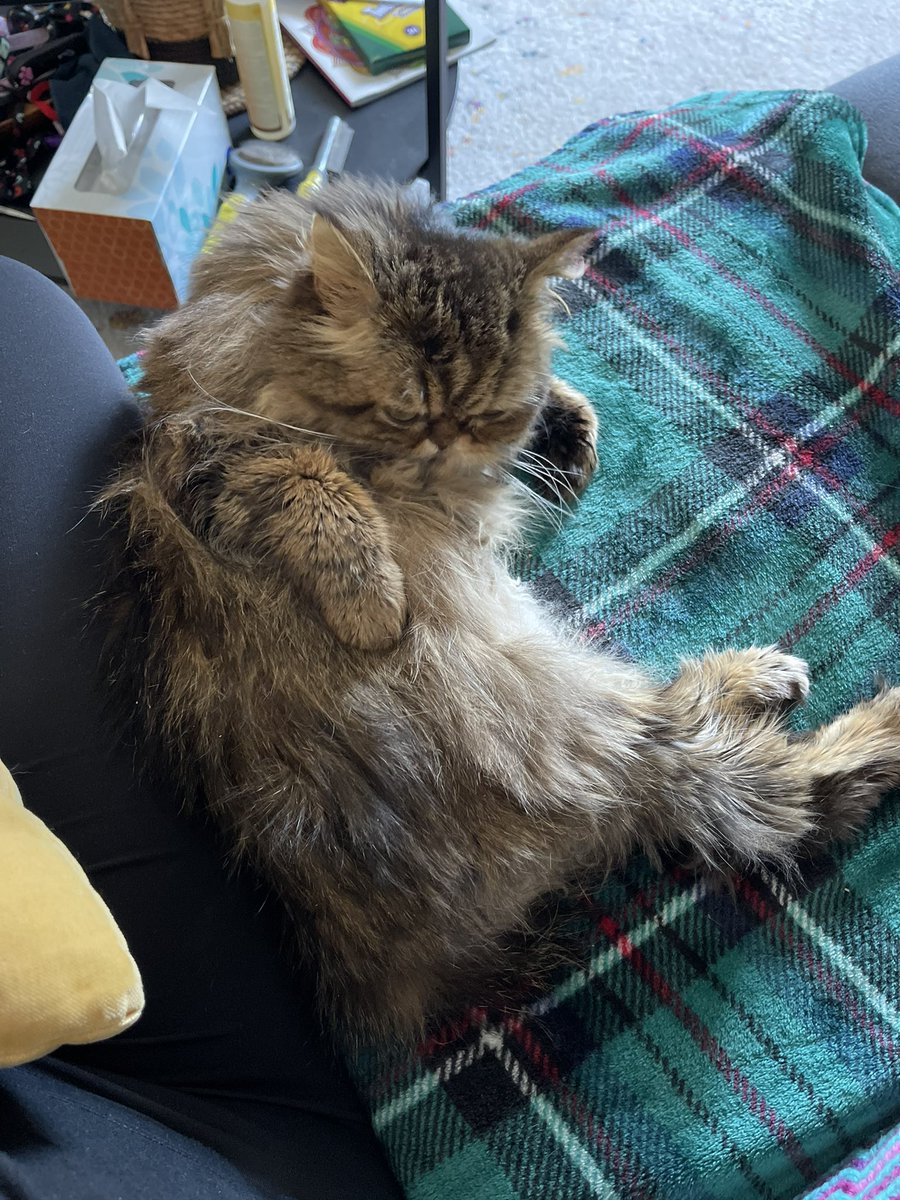 Tara Hutson tweet media