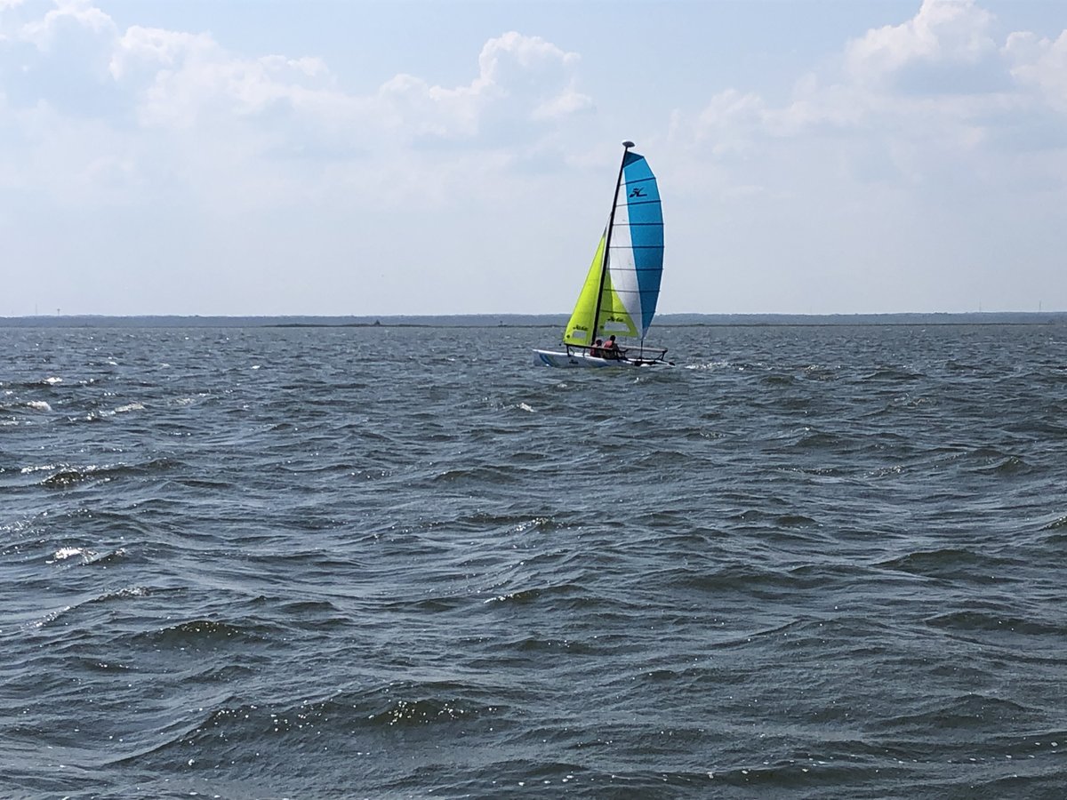 Sailing with #HCM on #hobie cats