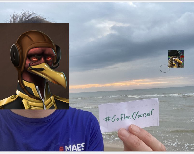 TeHoDLbag's tweet photo. Well it’s embarrassing but it’s the best I can do rn… can you spot my #Gurll ??? My entry for #GoFlockYourself contest! Show some love ❤️ @GullsCNFT @SpaceTheAce74 @Ty80904319 @Moneymike_813 @CryptoPresiden @AntnioVale8 @JerryTH23 #Gullish #LFGull https://t.co/Jd7Jcv9pFI