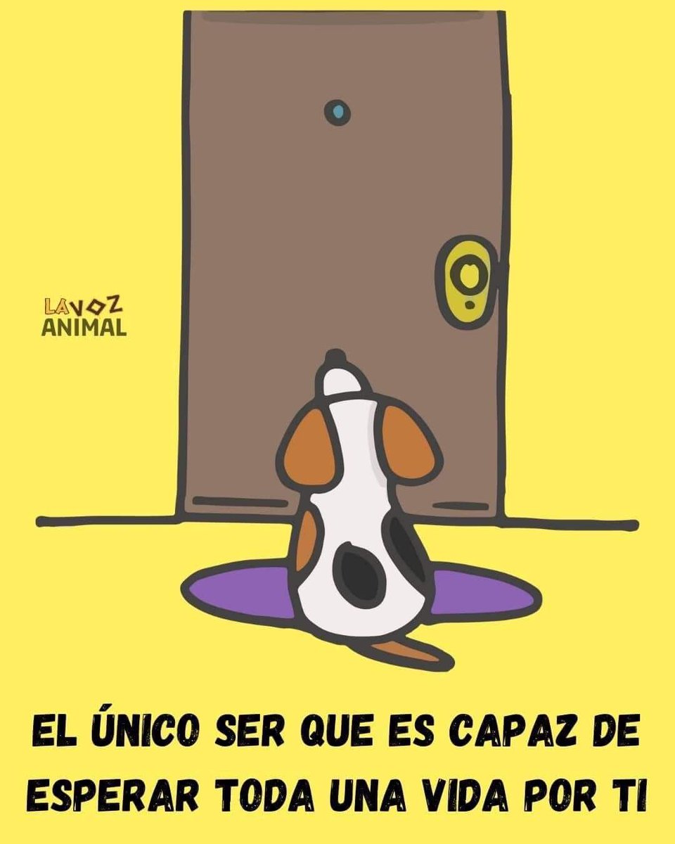 Perrosenlacalle's tweet photo. Nadie te extrañara tanto como el..... https://t.co/oUfBDftEUr