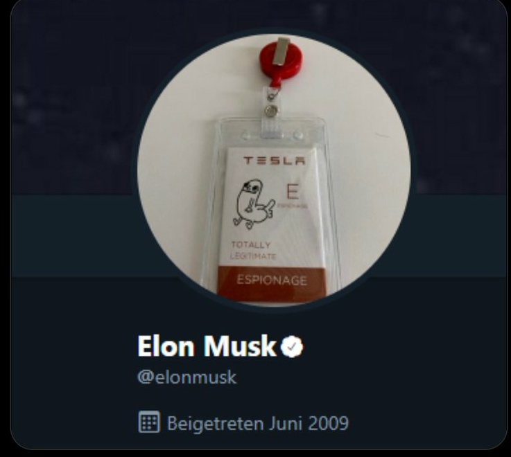 Elon Musk sweept CryptoDickbutts today