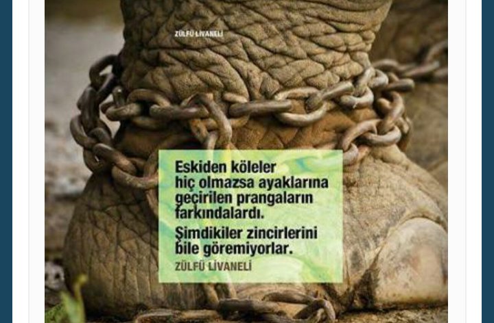 💫Neriman Uzun 61💙❤️ (@nerimanuzun11) on Twitter photo 