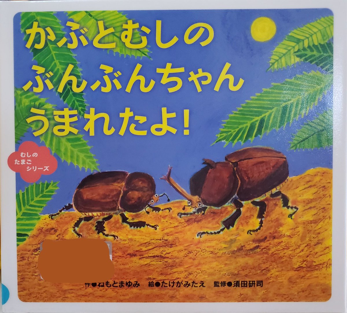 新製品情報も満載 絵本の世界に入っちゃおう その他 Www Tempodebrincar Com Br