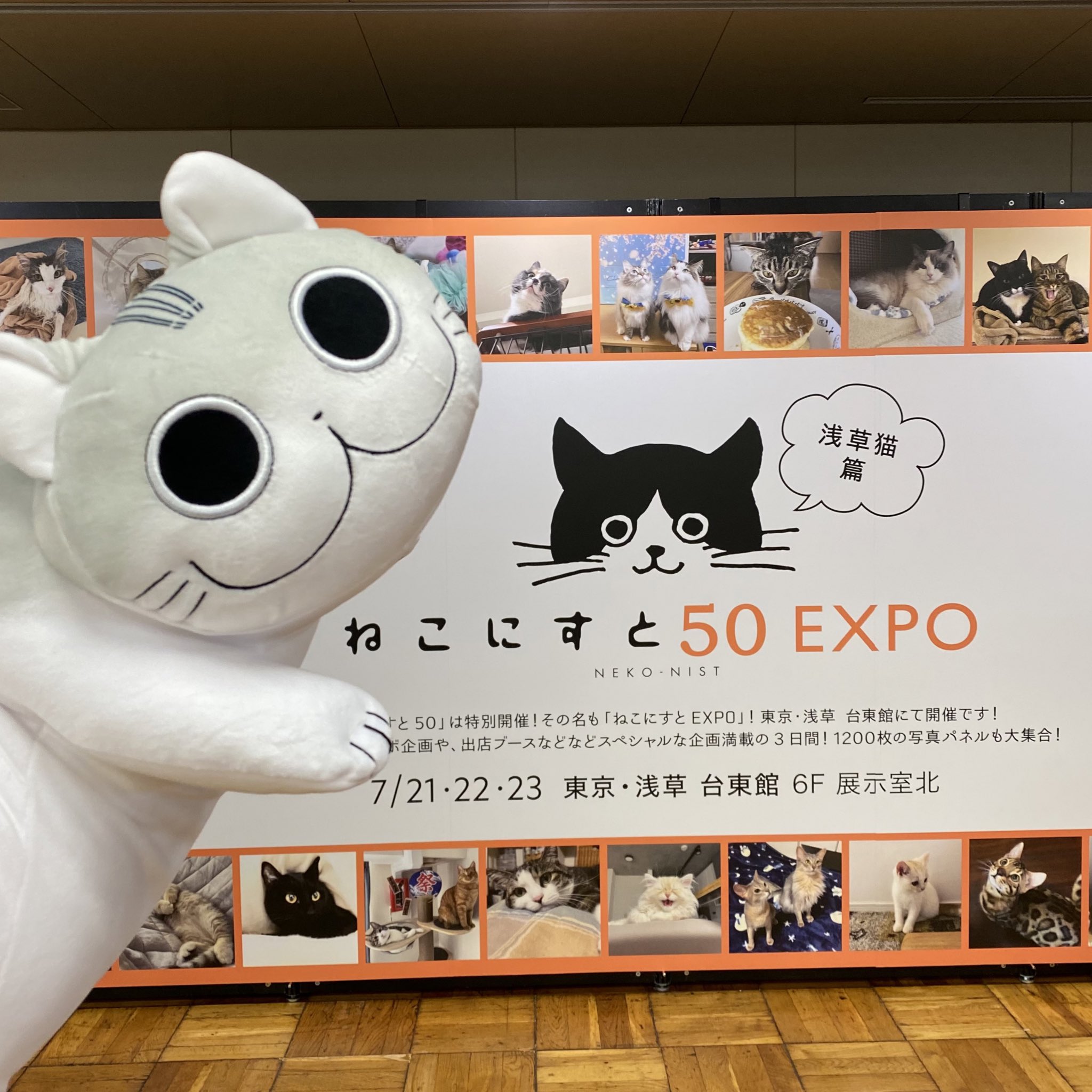 アニメ 夜は猫といっしょ 公式 毎週水曜に配信中 本日より ねこにすと にて アニメ 夜は猫といっしょ コーナーが展示中です 場所 浅草 台東館6階 日程 7 21 木 7 23 土 当日券 0円 税込 原作 アニメの場面カットやアイシングクッキー
