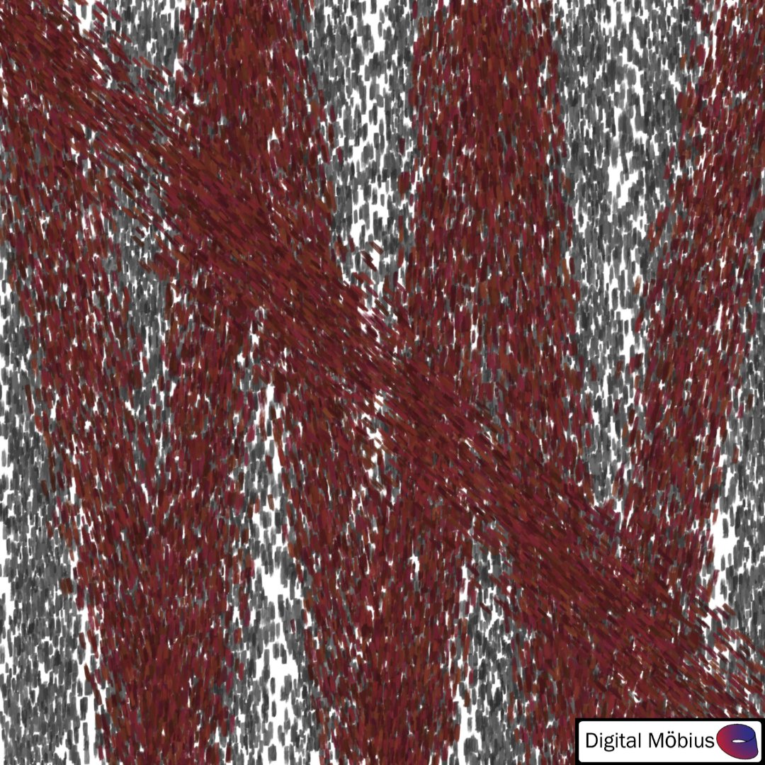 Chaos. What do you see?
#digitalmobius #nftart #nft #nfts #polygon #nftartist #nftcommunity #digitalartist #abstract #abstractart #abstractartist #abstractdigitalart #abstractdigitalartist