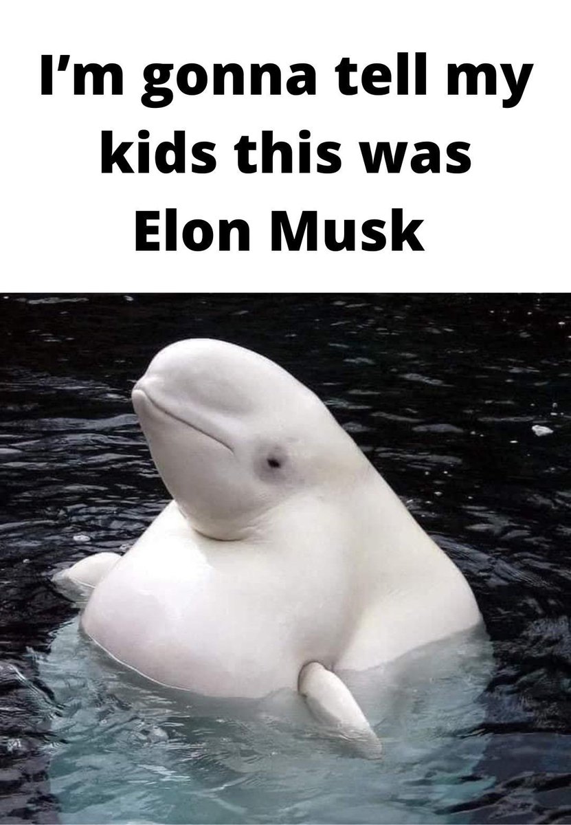 The resemblance to <a href="/elonmusk/">Elon Musk</a> is uncanny