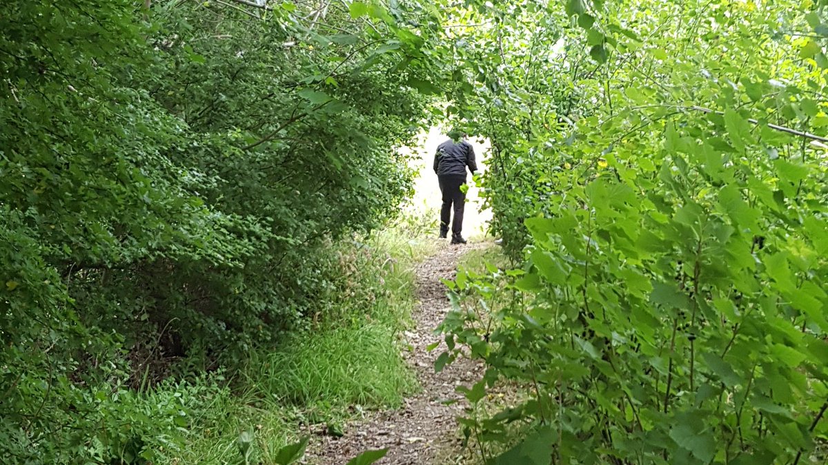 RootedInUnity's tweet image. Just like that @UnityBlackpool KS3 students have come to the end of their #forestschool journey as they move up into KS4. Ending on a team game of capture the flag. Planning, rule making, resilience and laughter.. a far cry from where they were in Sept #proud #thisisap