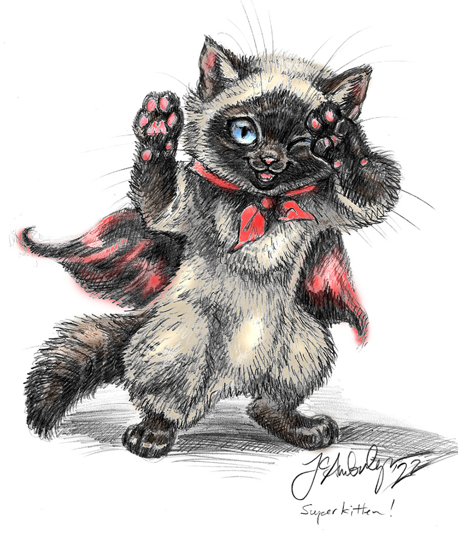 JC Amberlyn tweet media