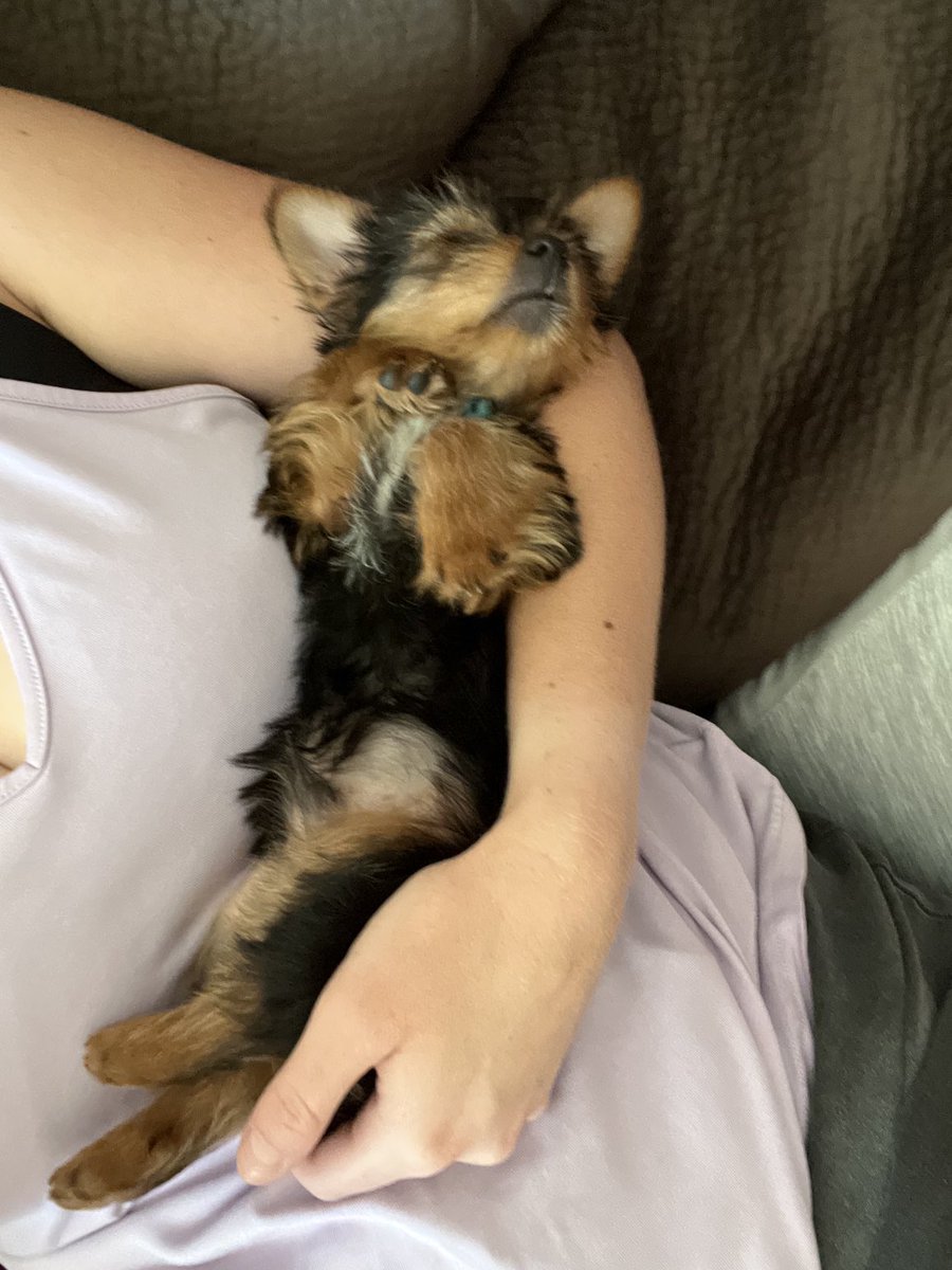 heren_ess's tweet photo. Just look at my little guy 🥹😍 https://t.co/e1uaI0BIz7