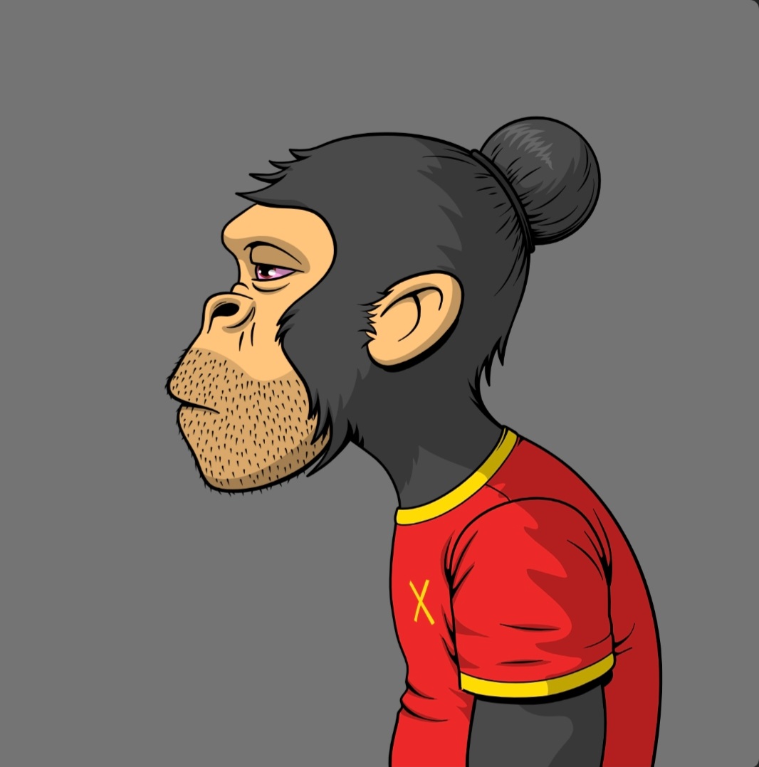 PrimaryColours tweet media