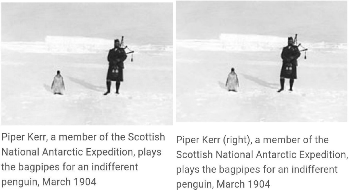 this joke doesn't subtract from the article IMO but I'm emotionally prepared for it to be removed a la "Guy Standing sitting", "West Philadelphia born and raised" on Will Smith article, hatnote linking self-referential humor on self-referential humor page, and this caption. RIP