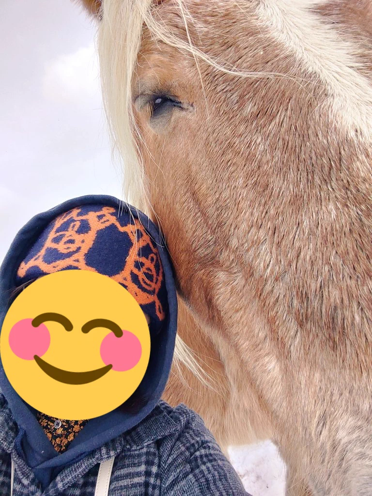 寒立馬は日本人にもやさしいです。
#寒立馬  