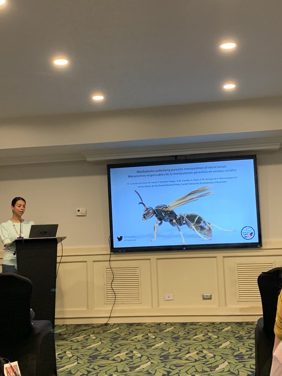 Mischocarvalhus's tweet photo. @AvispaTica rocking out her presentation "Mechanisms underlying host recognition and parasitic manipulation of social wasps" and representing #teamwasp and @TropBioLab at @AnimBehSociety 2022
@UofR https://t.co/ZG4kS9YpAD