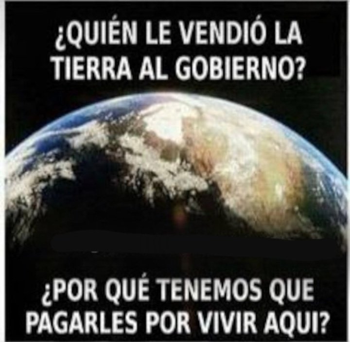 Alfredo P. ✝️🦁 tweet media