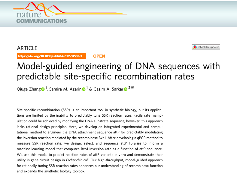 sarkarlab's tweet photo. Our recent work now out in Nature Communications: Model-guided engineering of DNA sequences with predictable site-specific recombination rates @NatureComms 

https://t.co/Y1C7wcGohd https://t.co/GPZXZjmKqj