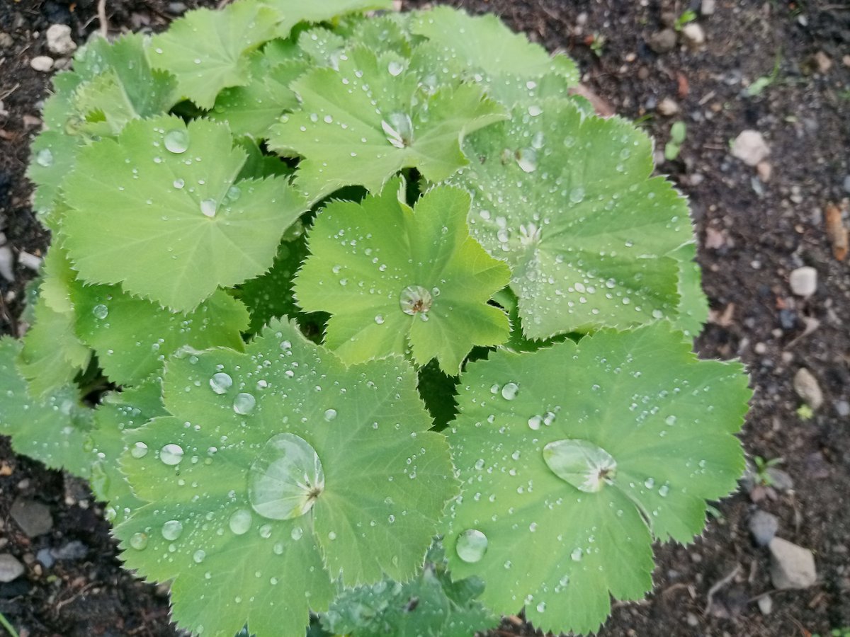 When heat wave hits people want 🌧️