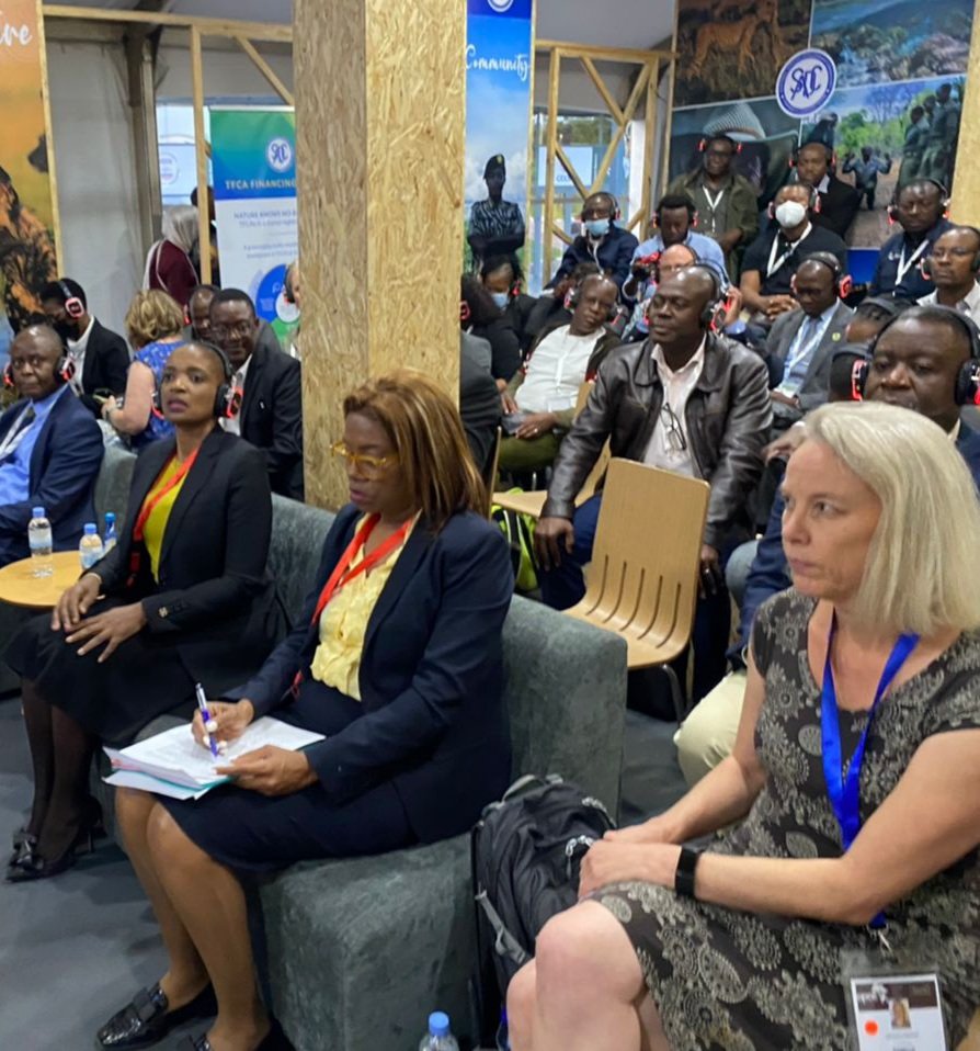 MOTHI_ZIMBABWE's tweet image. Deputy Minister @METHI_Zimbabwe  Hon @BarbaraRwodzi delivered some remarks during the official opening of the SADC pavilion during the Africa Protected Areas Congress 2022.
@AmbProf_Charity
@ProsperBMatondi 

m.facebook.com/story.php?stor…