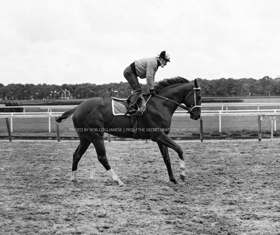 Secretariatprmr's tweet photo. βHe was really like a rocking chair to gallop.β Ron Turcotte first galloped Secretariat in early 1972, and found the 2-year-old Meadow Stable colt to be easy to handle, gentle, and very intelligent. (Photo by Bob Coglianese captured much later.) #LoveAtFirstSight #LoveAtFirstRide https://t.co/qAlplGGuxc