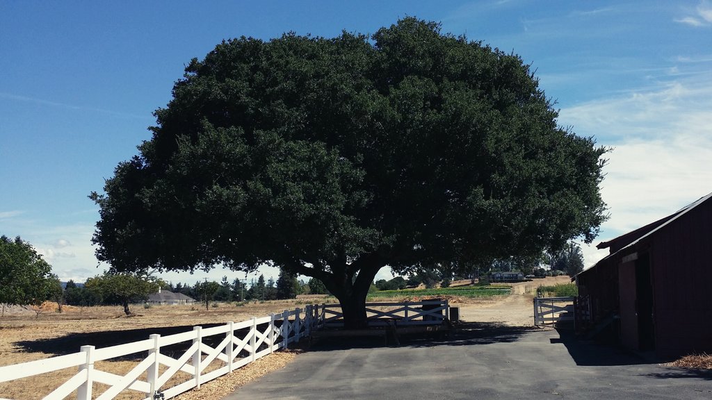 PetalumaCityGov's tweet image. How To Access City Meetings | Cómo acceder a las reuniones de la Ciudad

3:30PM - zoom.us/j/91275354272

6PM - zoom.us/j/94088938226

cityofpetaluma.org/tips-for-atten…

cityofpetaluma.org/meetings/

#Petaluma #Meetings #HowToJoin