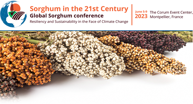 Exciting news for sorghum lovers! The next global sorghum conference is being held in Montpellier in the South of France June 5-9 2023. Put it in your calendars.