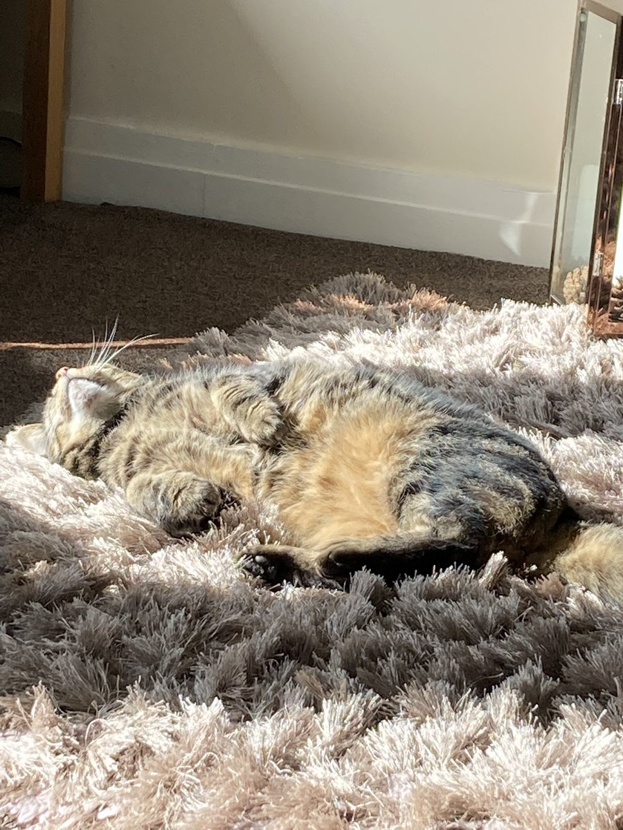 Gill Walker tweet media