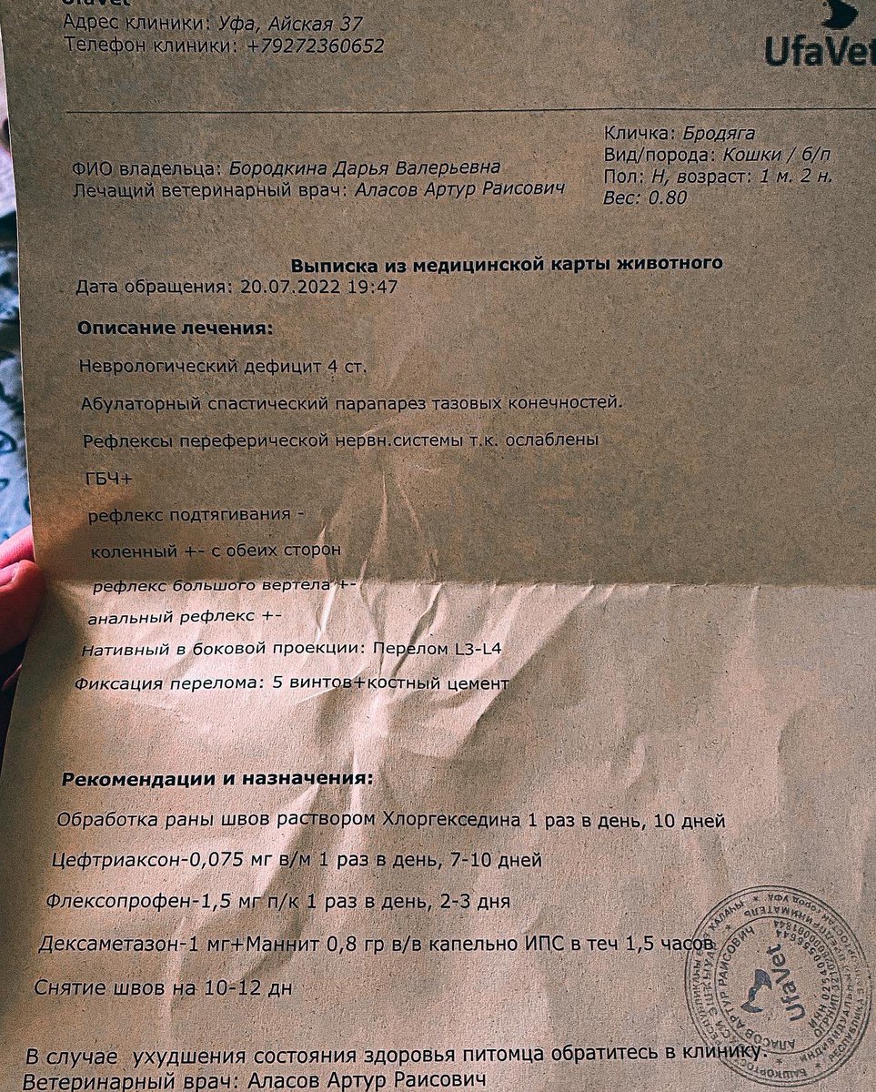 charly_cry's tweet photo. Нам все ещё нужна помощь. Реабилитация, уколы, капельницы. На операцию/анализы/переноску ушло ~23.000 рублей. До этого 7.000 на пеленки, еду, лекарства, обработку и так далее. Нельзя останавливаться на этом, иначе все старания и надежды будут напрасны💔🙏🏼✊🏼 https://t.co/rryPuXgXAu