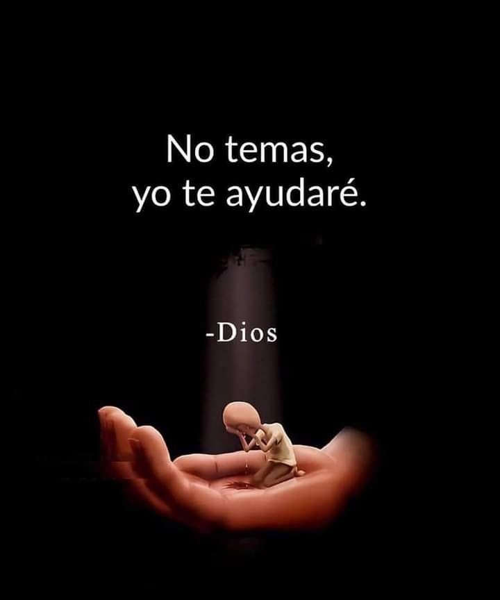 Patrici81824336 tweet picture
