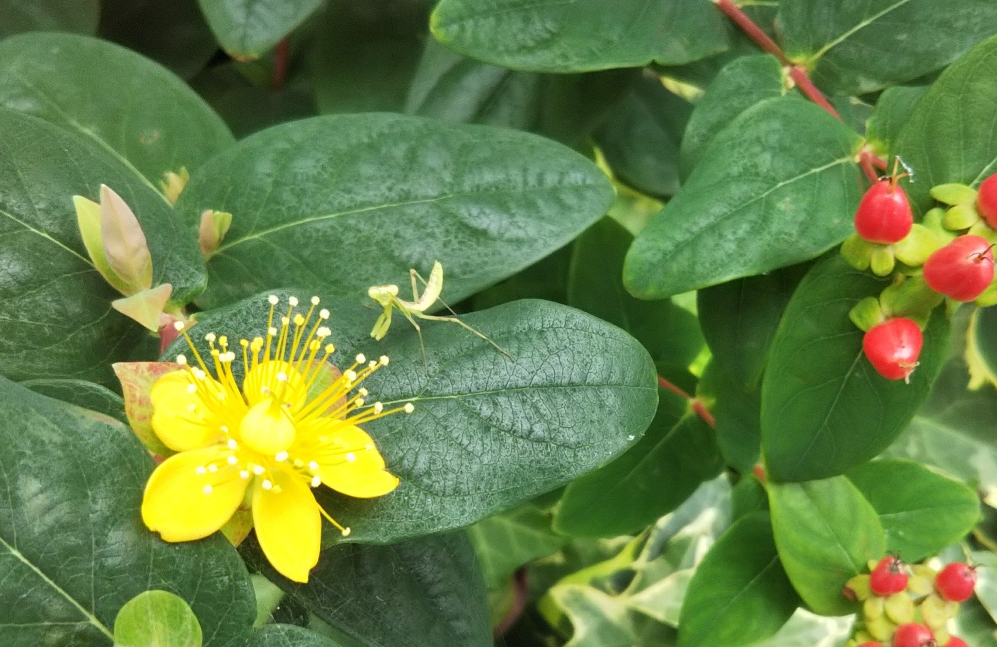 Mohrus ﾓｰﾗｽﾃｰﾌﾟ貼る人 京都府立植物園を守りましょう T Co 5kjxgfylyb 京都府立大学に巨大商業アリーナはいりません T Co Mlgp7hcfrx Trendsmap ﾄﾚﾝﾄﾞﾏｯﾌﾟ 右上 かタグtap Am9台24h 前日 分リセット Twitterapi 変更の影響か
