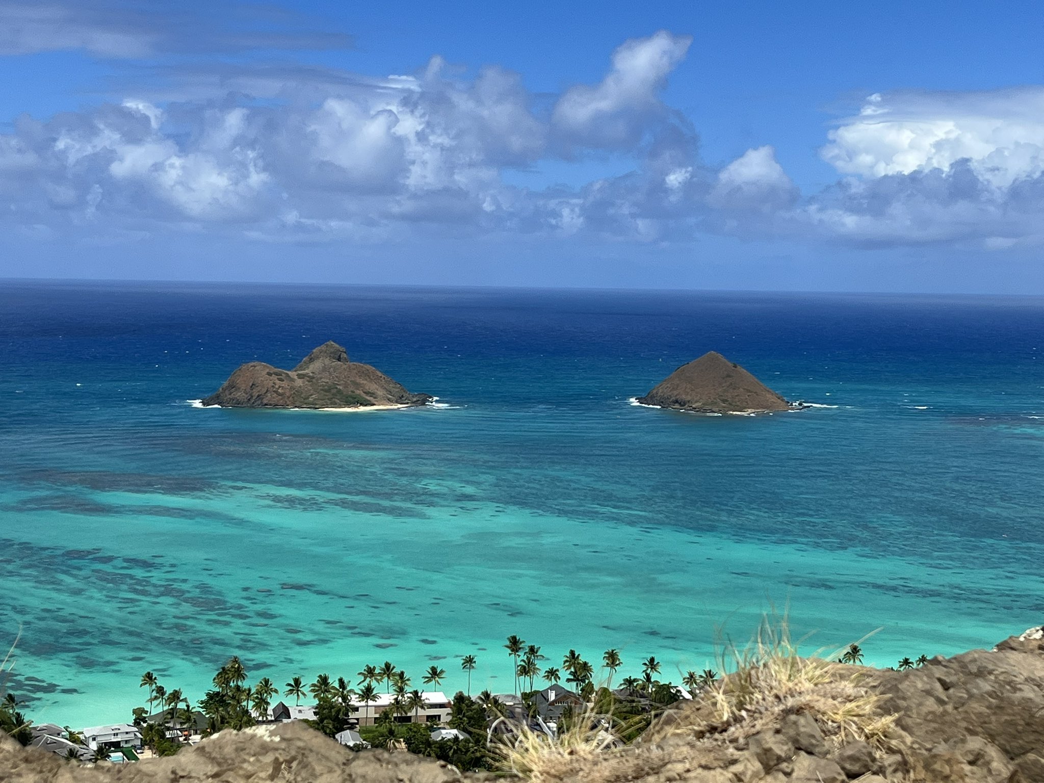 シュリンプモアニ Shrimp Moani ガーリックシュリンプキッチンカー カイルア ビーチに車停めて 歩いてラニカイピルボックスへ 約分のハードな道のりを経て 絶景を手に入れました T Co 3c7dgegatp Twitter