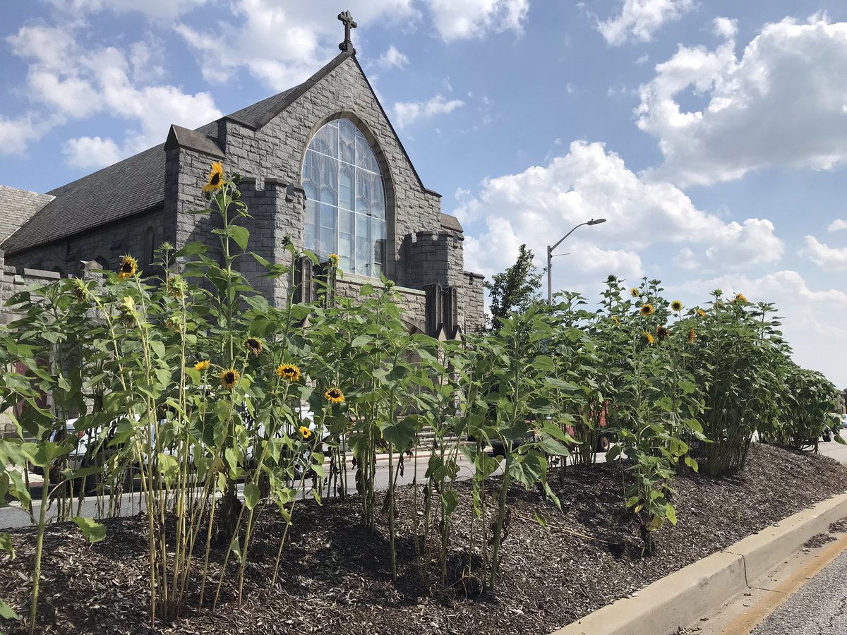 ElectRyanDorsey's tweet photo. Is there a better median in Baltimore than the 5200 block of Harford? https://t.co/PVzCFoKvz7