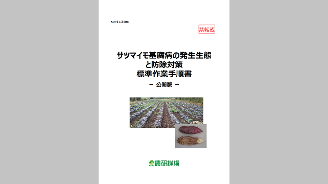 NARO_JP's tweet photo. 「サツマイモ基腐病を防除する苗床の土壌還元消毒技術 標準作業手順書(SOP)」

本手順書では、化学合成農薬を用いない防除対策として米ぬかを用いた苗床の土壌還元消毒技術を紹介します。

https://t.co/P2ZoN5dPc2

#標準作業手順書 https://t.co/S57tJR95fE