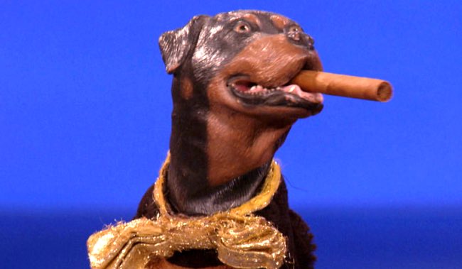 gwardhome's tweet photo. The corrupted Biden @DOJCrimDiv refuses to do anything to the #Colbert9 while others rot in jail.
C’mon man!
At least put the dog puppet up on charges! https://t.co/LJKjQKmIw9