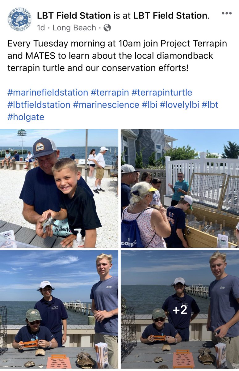 DisneySciNerd's tweet photo. Marine students: Every Tuesday morning at 10am join Project Terrapin and MATES to learn about the local diamondback terrapin turtle and our conservation efforts! LBT Field Station: 127 W Osborn Ave Holgate
#marinefieldstation #terrapin #terrapinturtle #lbtfieldstation #lbi https://t.co/rjleG1MNkm
