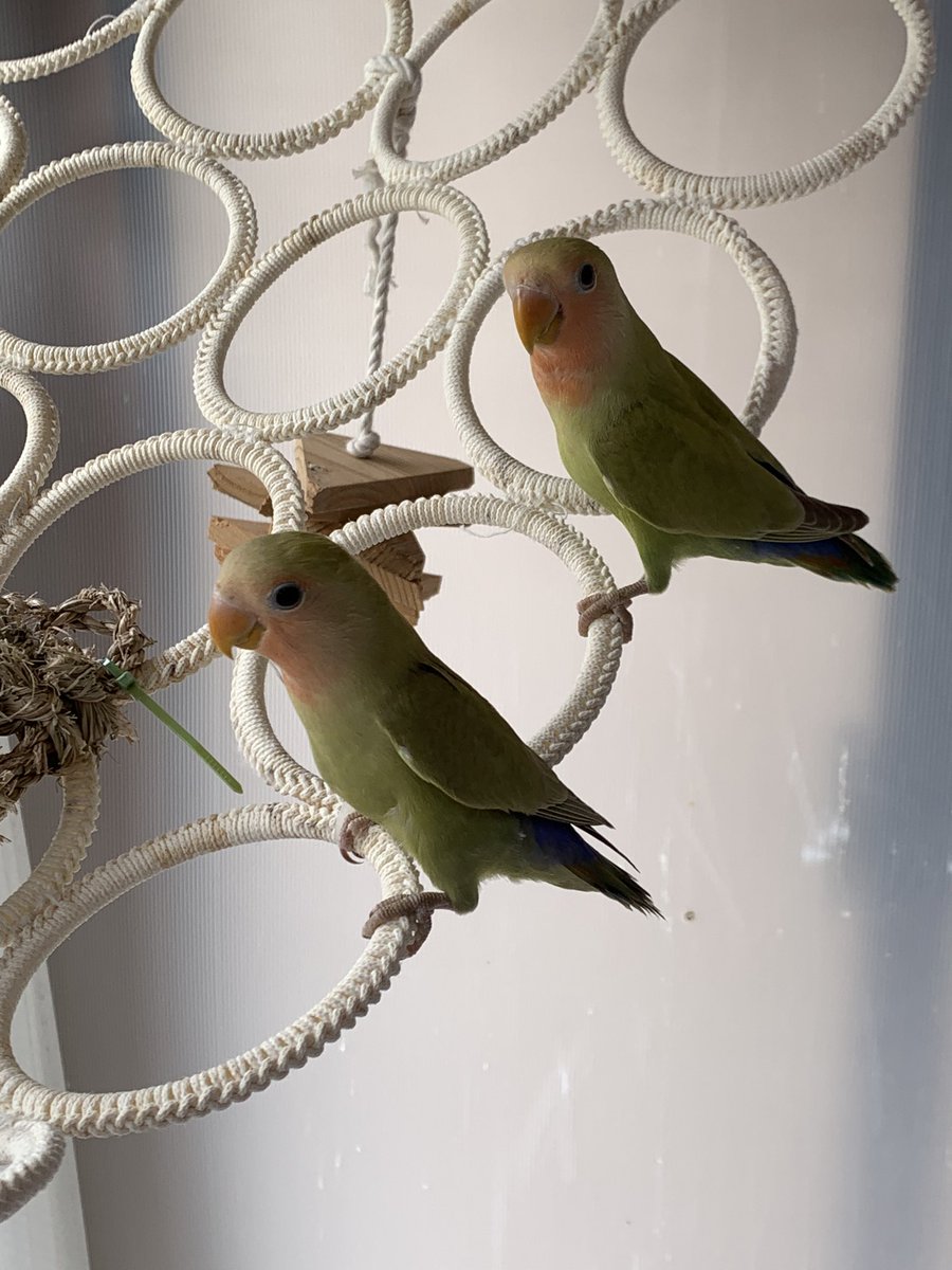 yfuiqbxe1rmm yfuiqbxe1rmm