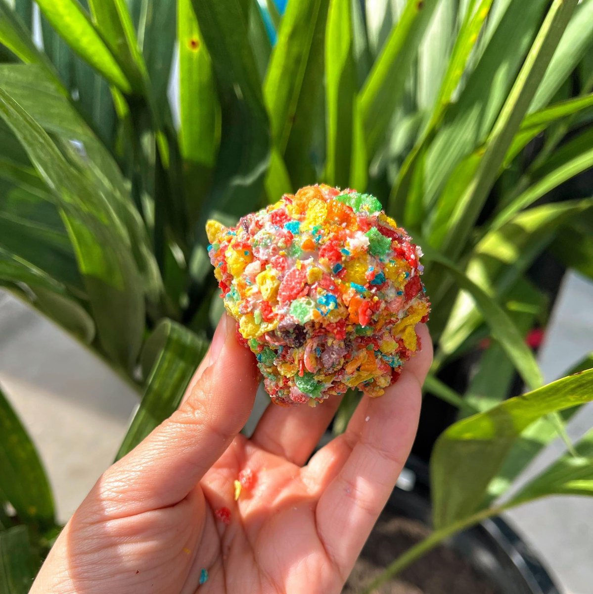 Don't trust anyone that says they don't like our cakeballs...Seriously.