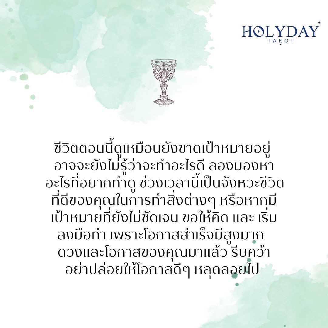 Holyday Tarot tweet media