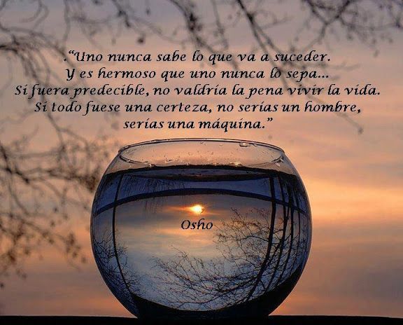 MundoSuenos's tweet photo. Feliz Bendecida Noche! https://t.co/ZMzh4srImg