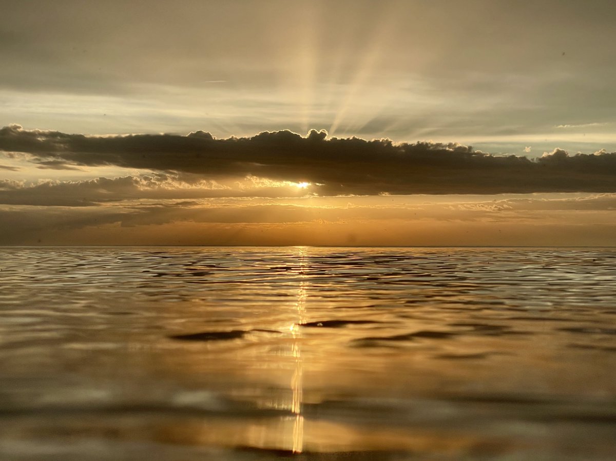 BugsySailor's tweet image. Sunrise 1,297. You should retweet this.