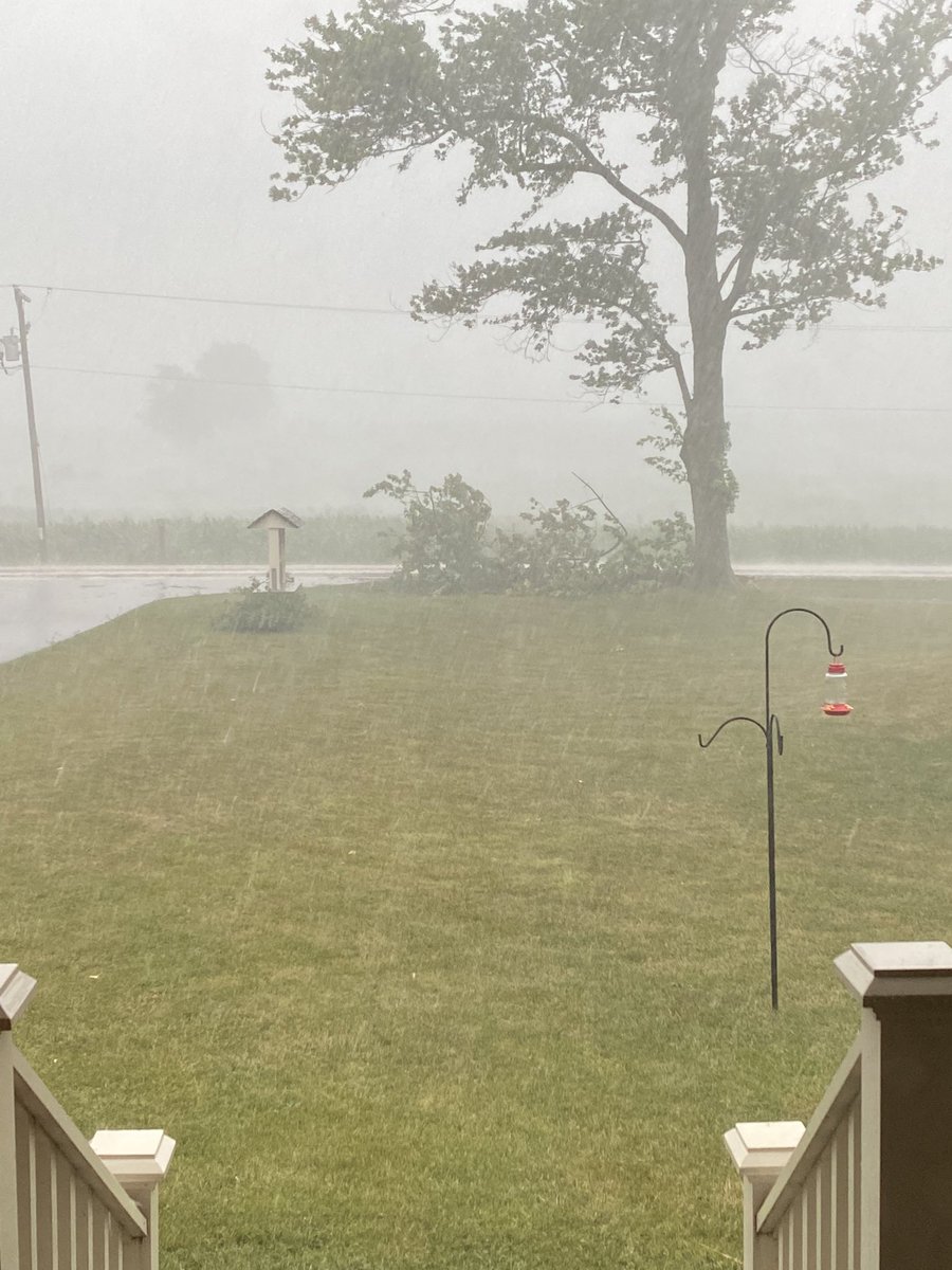 Lisa_Ont's tweet image. Heavy rain, high winds, thunder and lightning just went through near Lucan, ON! 3/4 inch of rain in 15 mins! #onstorm #TWNStormCentre @weathernetwork