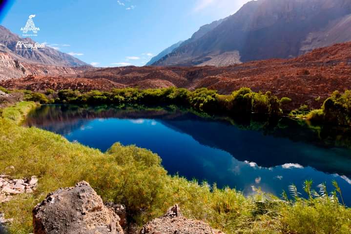 EDICIONESREGION's tweet photo. Laguna Mamacocha.
Ayo, Castilla.
Arequipa. 
Considerada la laguna de manantial más grande del mundo. 

Promarequipa https://t.co/QQ1n7ab5Lr