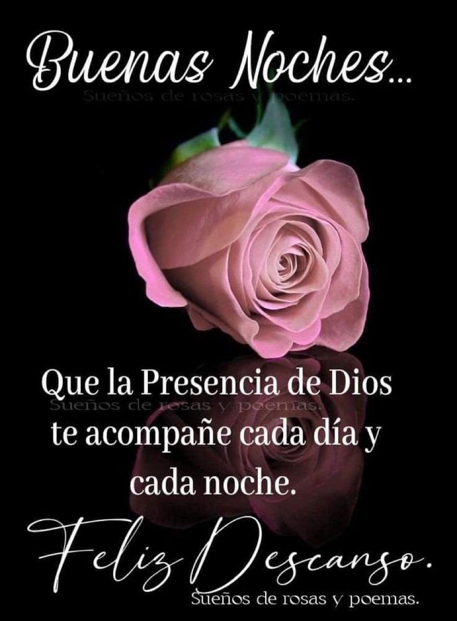 Buenas noches,tengan un feliz descanso y confiemos en Dios 👏🏽