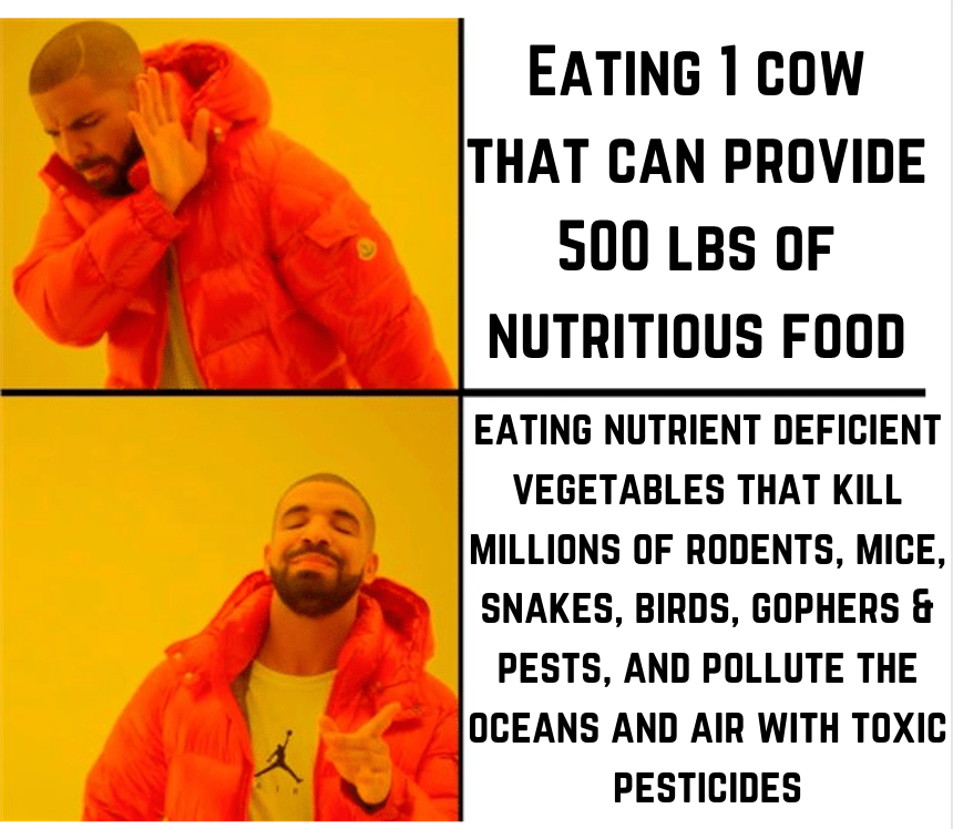AlpacaAurelius's tweet photo. Vegans be like: https://t.co/zpXKP67M5Q