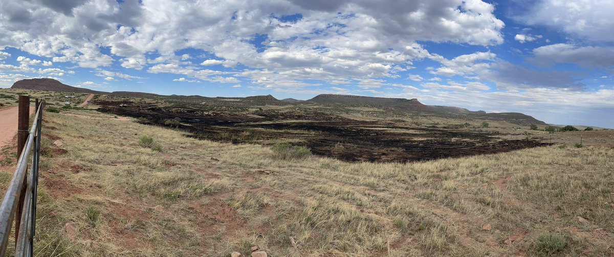 FireLivermore's tweet photo. #rednosefire2022 the fire off Red Mountain Road is now contained. LFPD along with @LarimerSheriff, @WellingtonFire1 were able to stop the spread before nearby structures were threatened. https://t.co/rsTtaHFfcM